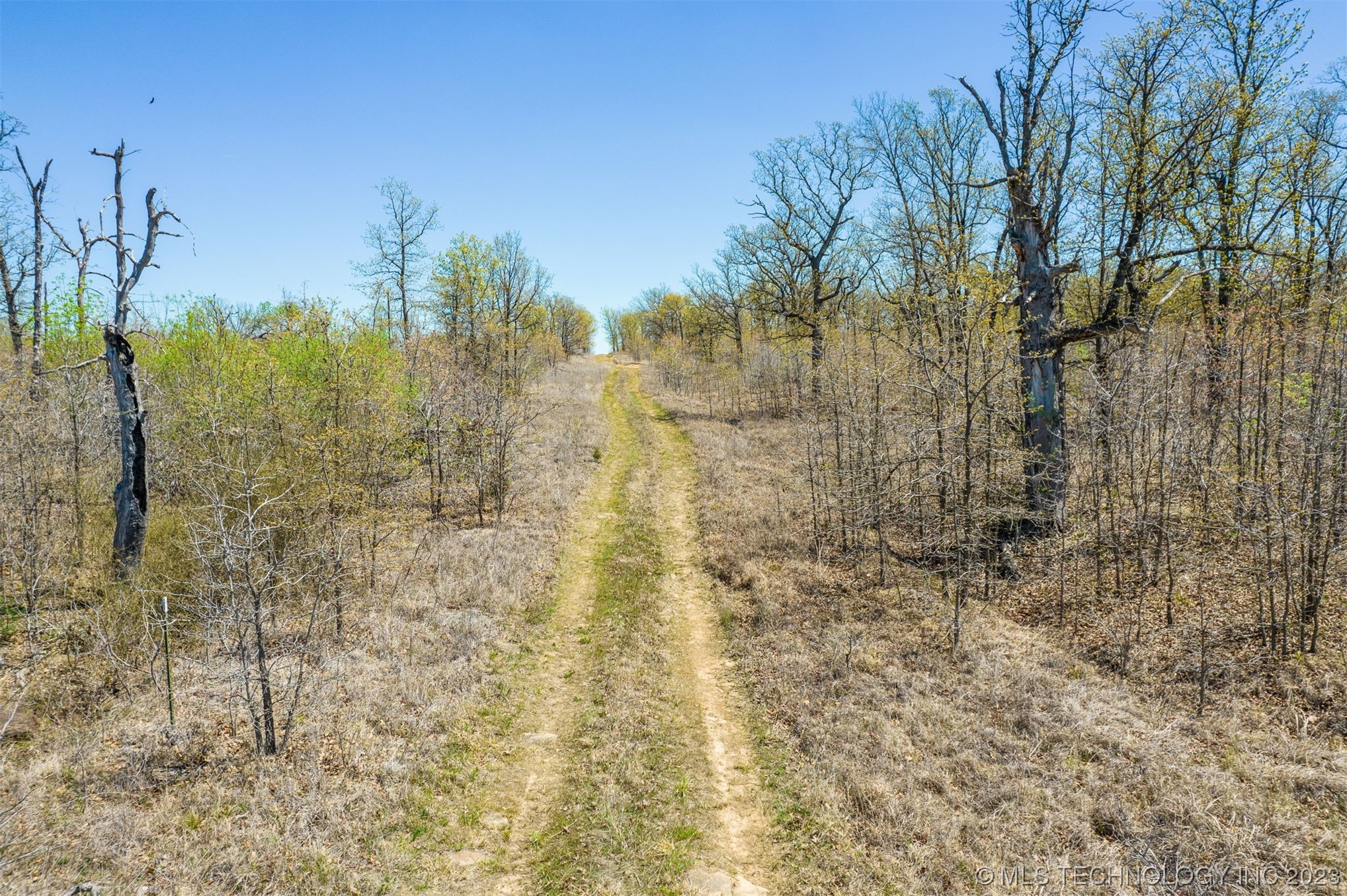 Photo 12 of 19 of 5506 Wildwood Court land