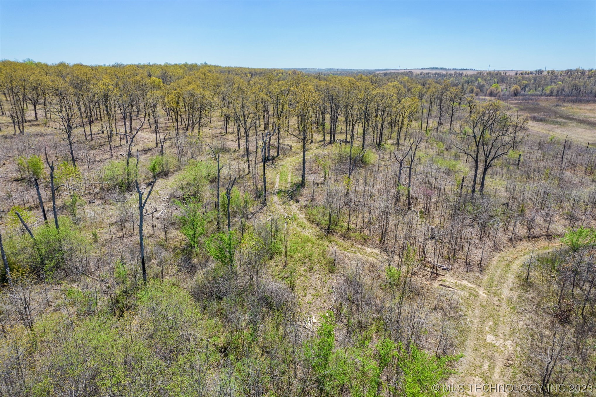 Photo 11 of 19 of 5506 Wildwood Court land