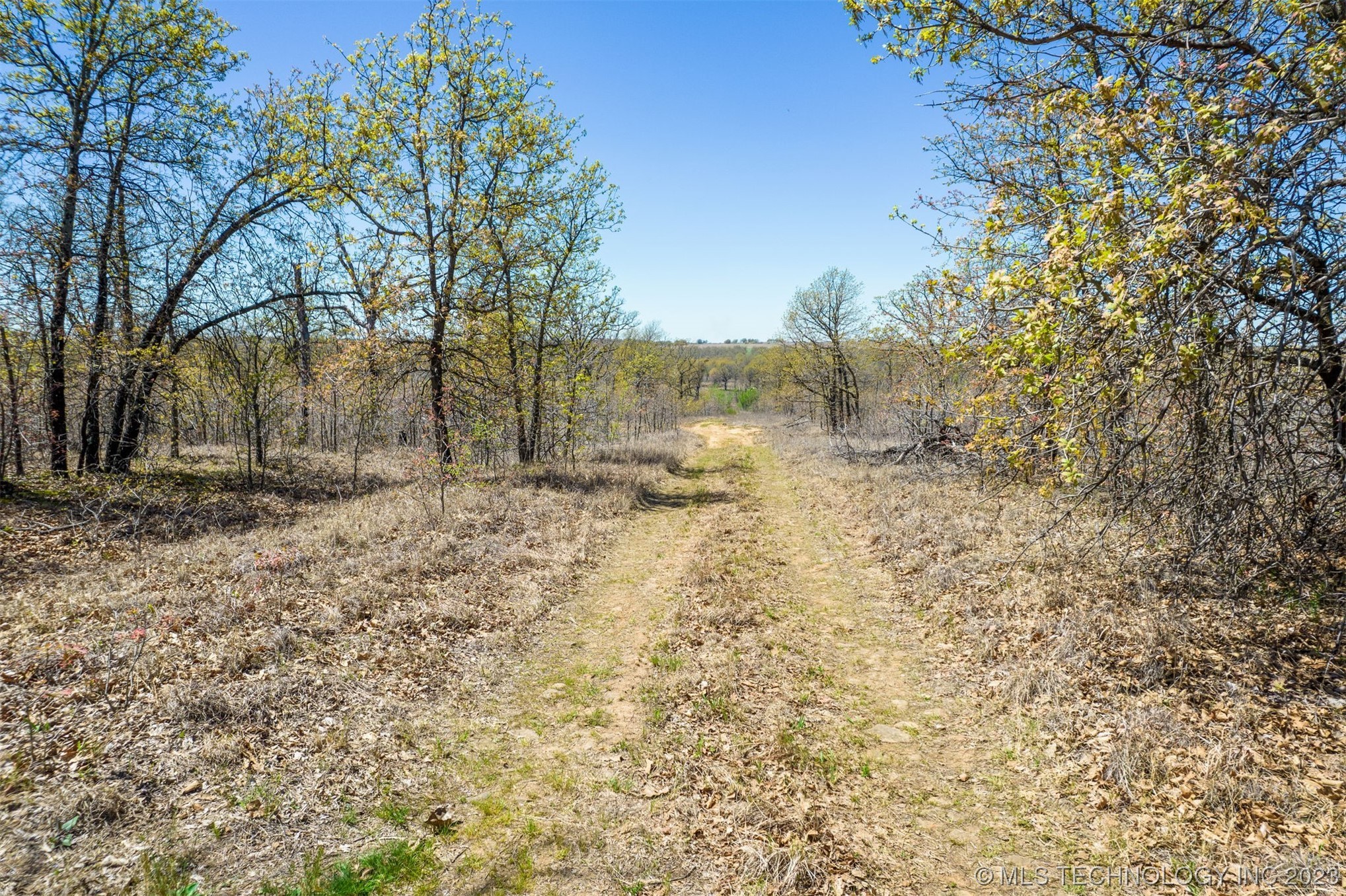 Photo 15 of 19 of 5506 Wildwood Court land