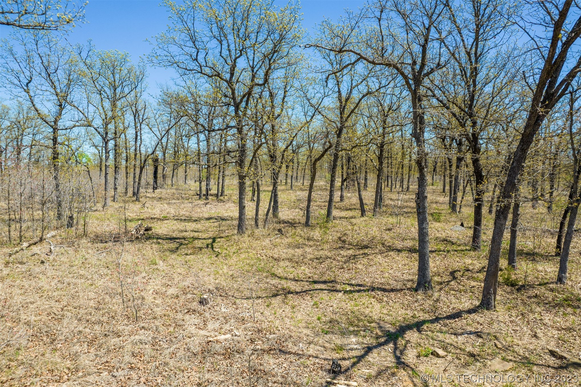 Photo 10 of 19 of 5506 Wildwood Court land