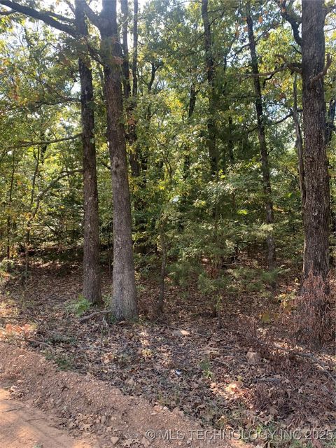 Photo of S 4530 Road, Vian, OK 74962 (MLS # 2525407)