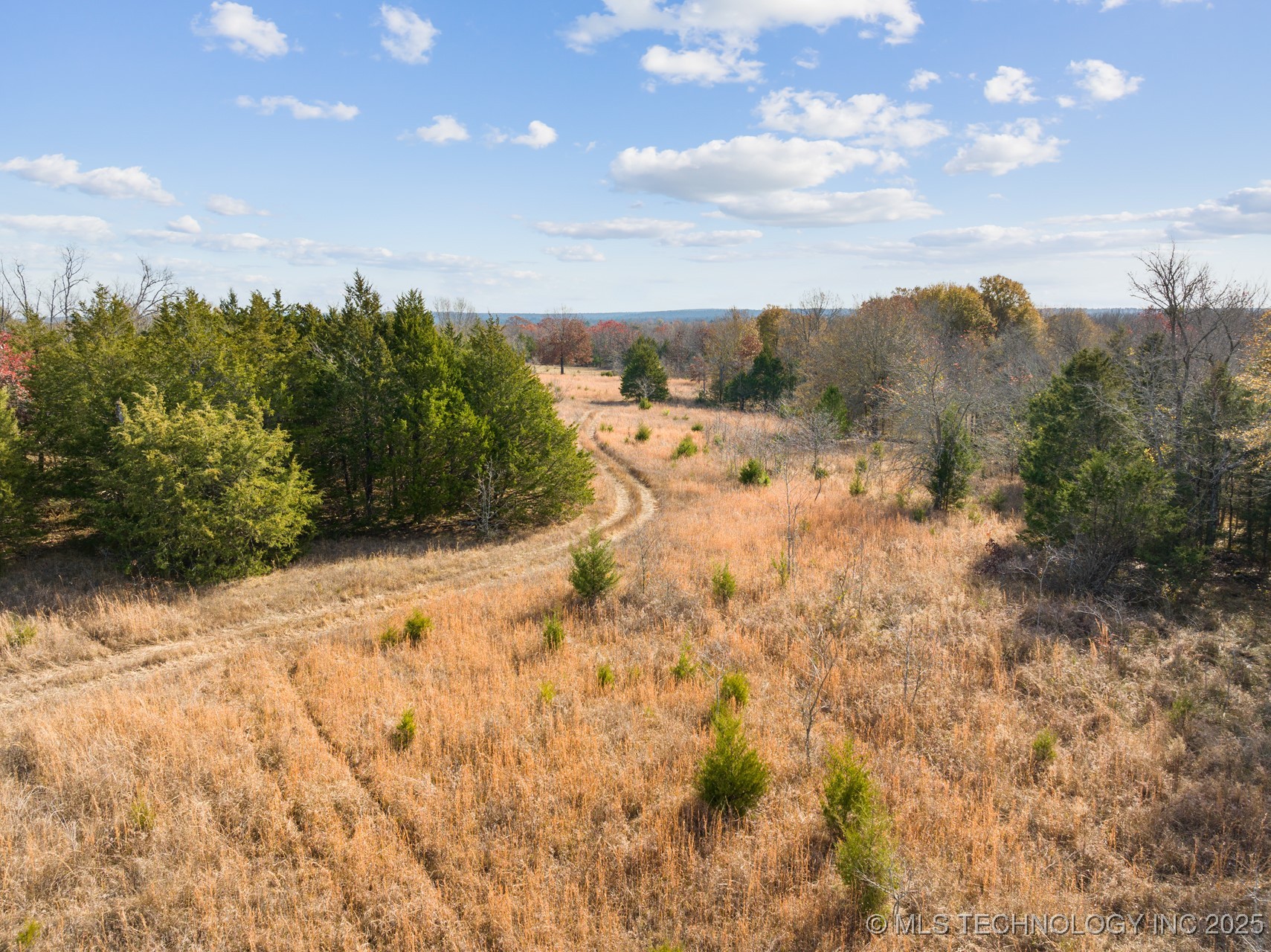 60 Tram Trail