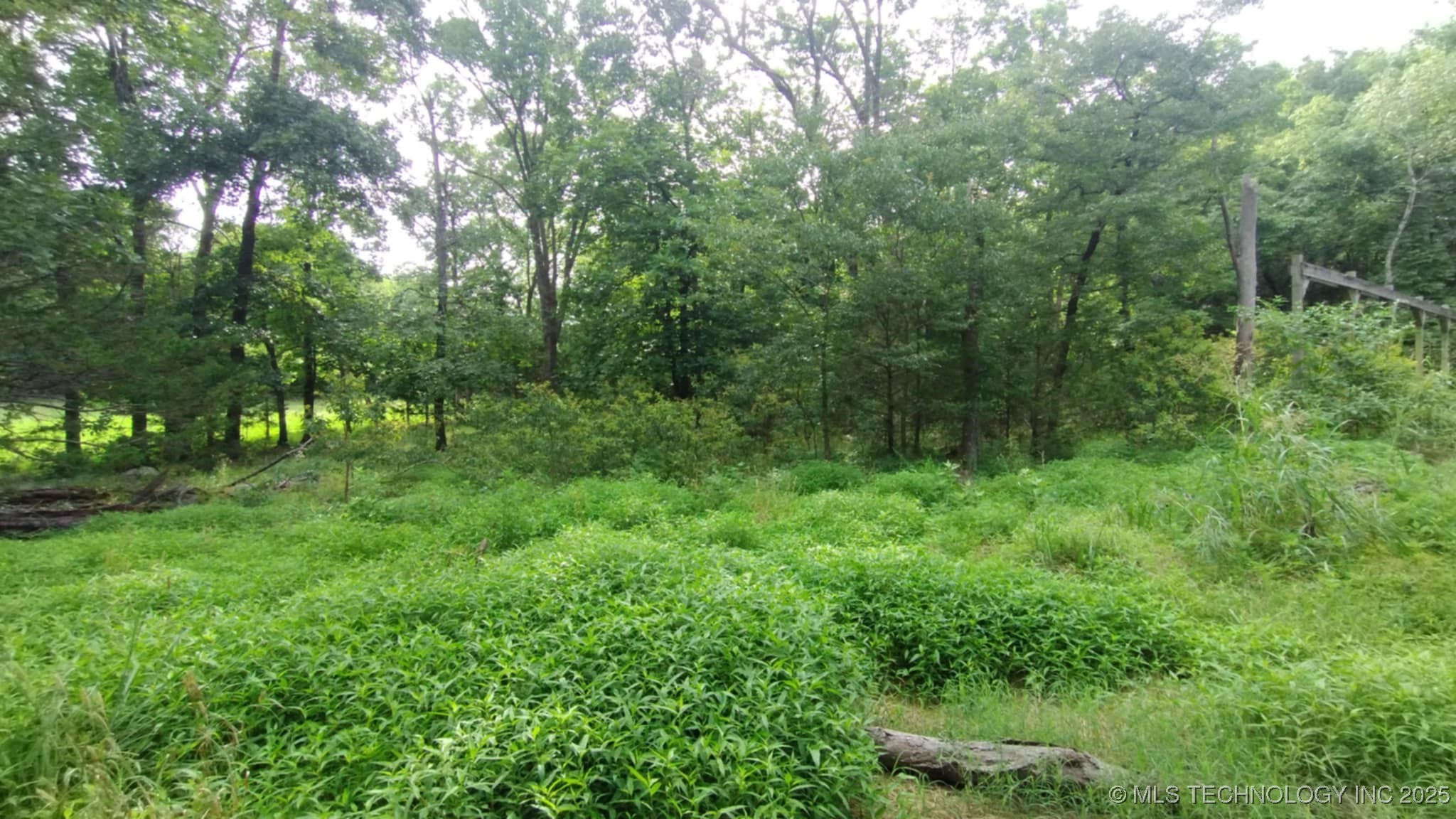 S Hickory Lane