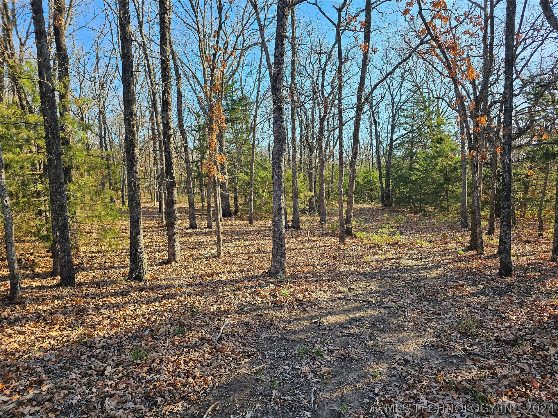 Photo 5 of 50 of 0000 E 5200 Road land