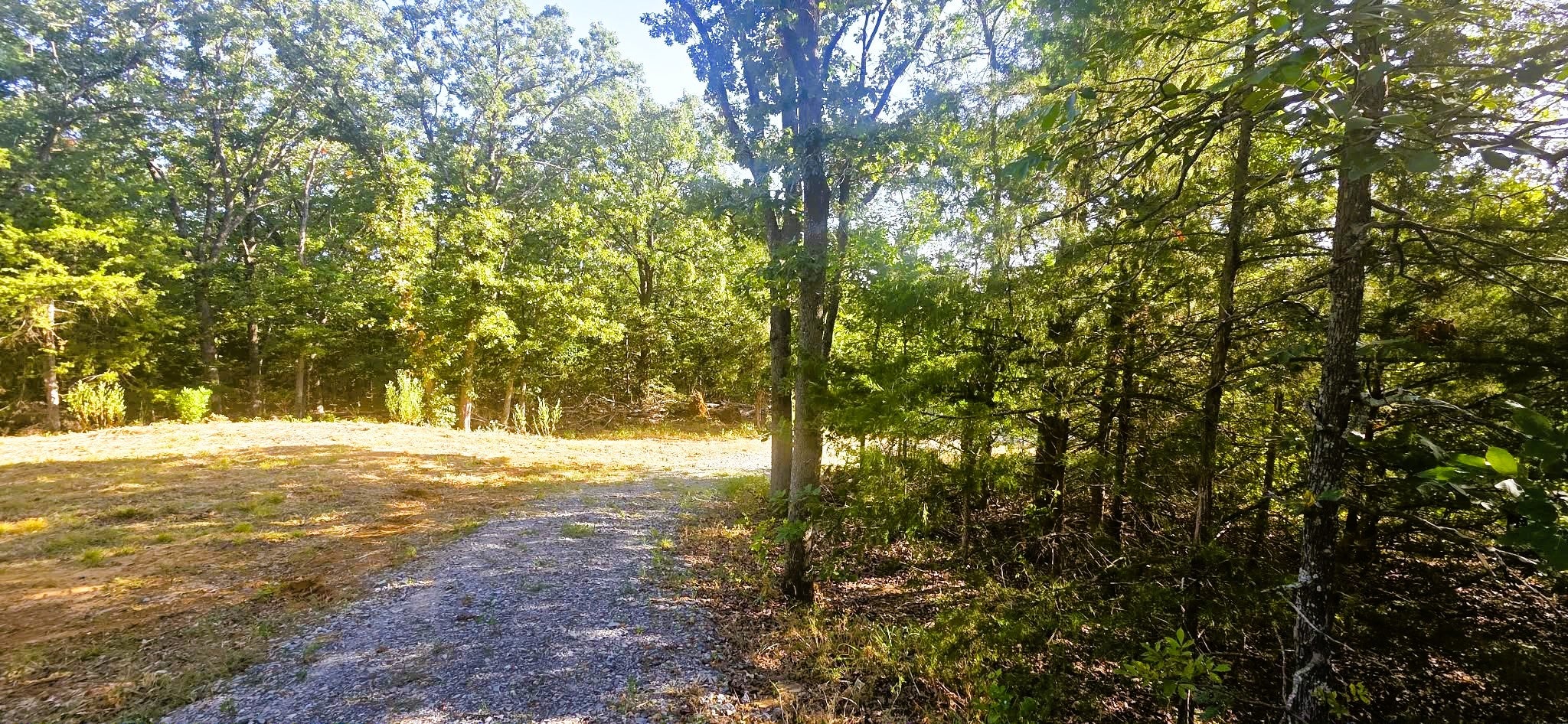 4273 Sawmill Road