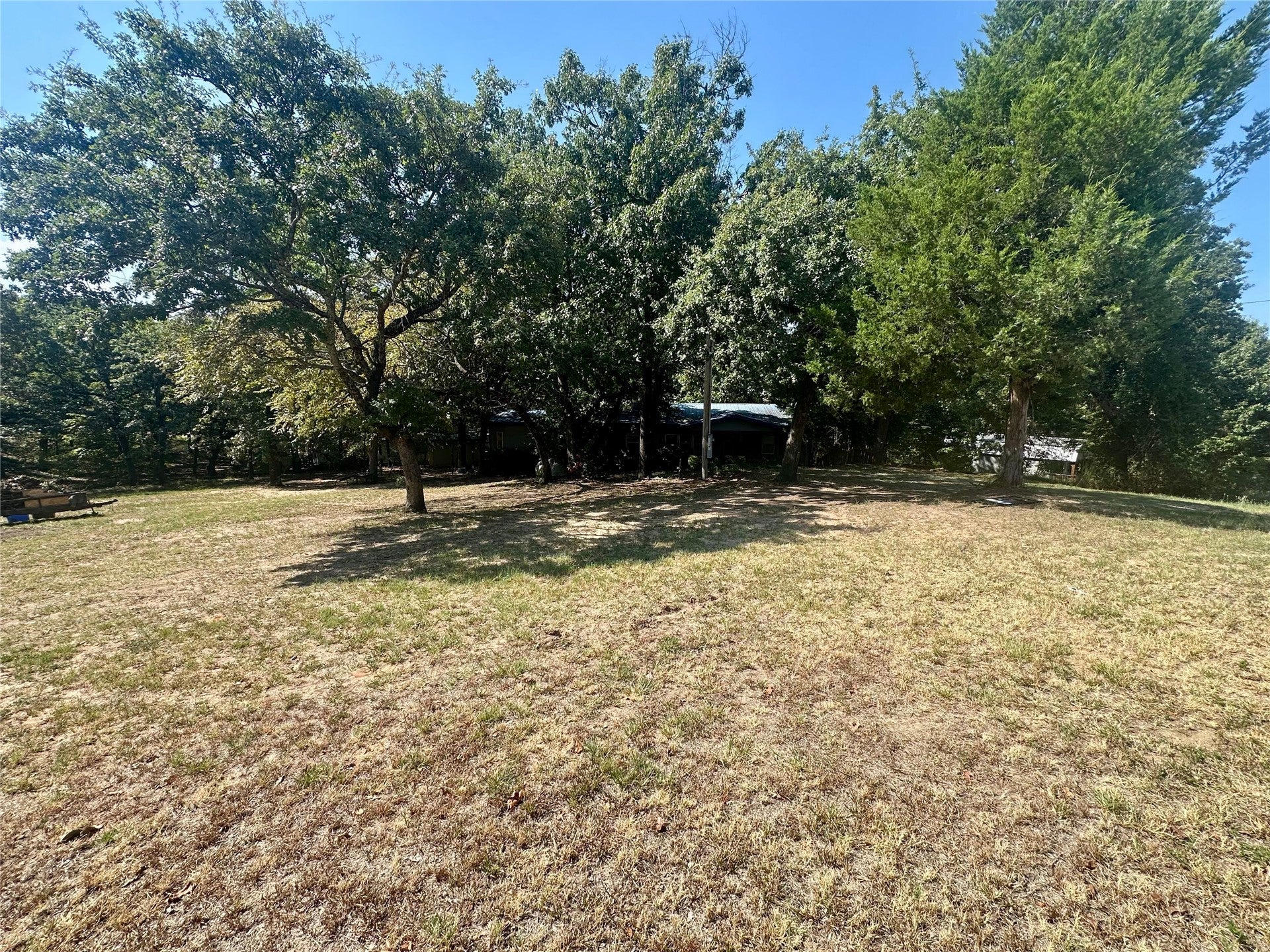 10691 Pin Oak