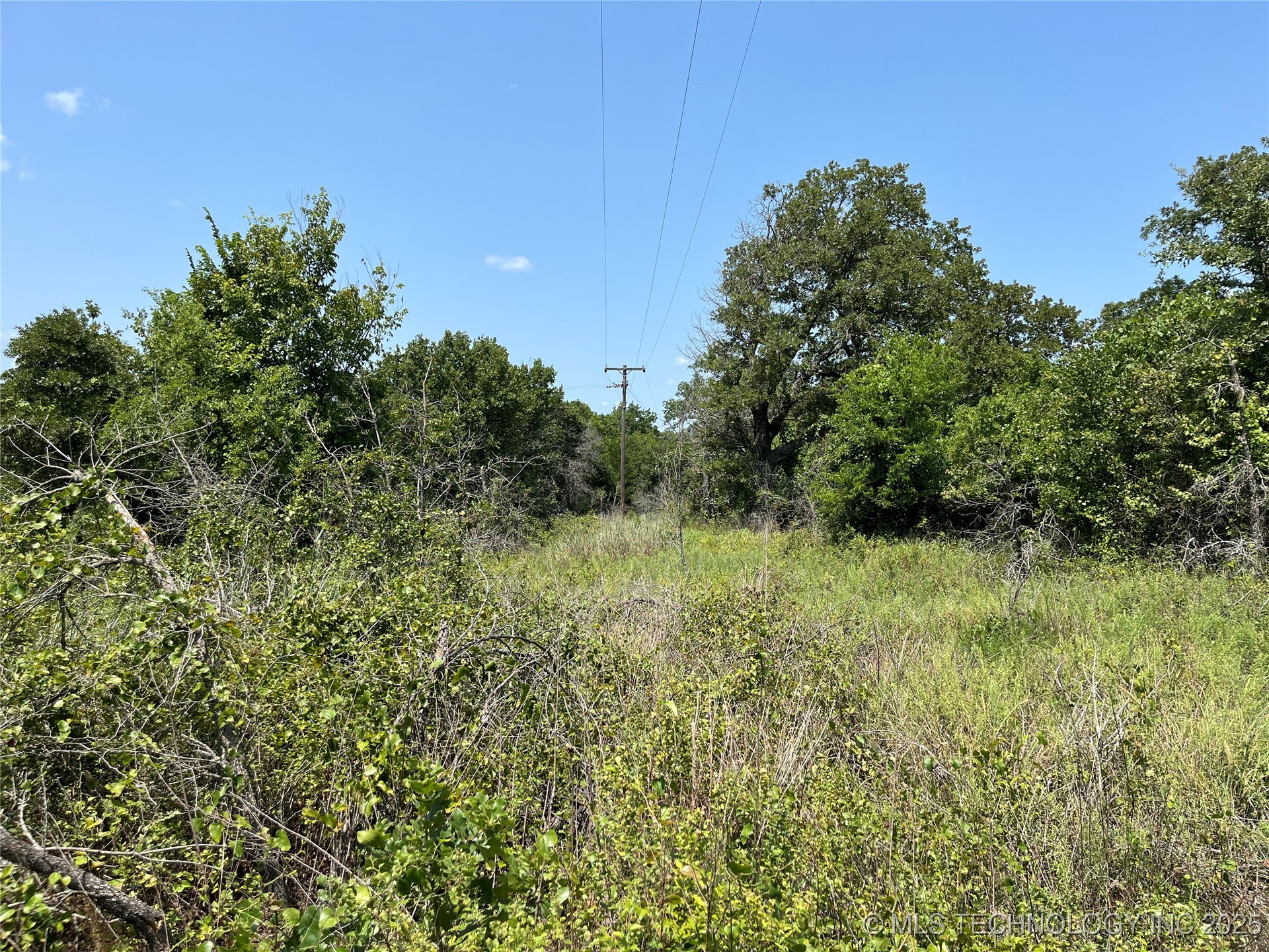 Gunter Road