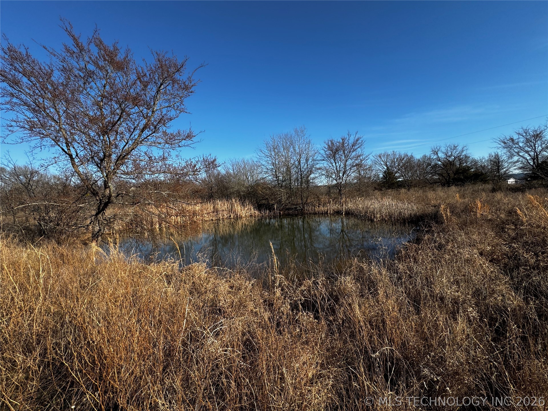 Pond on the West end.