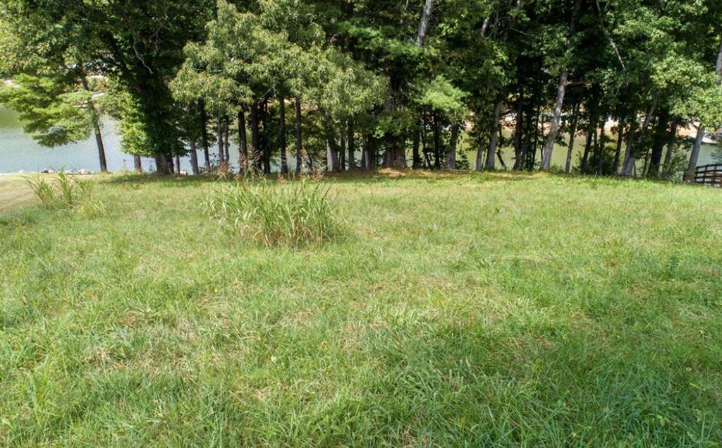 Lot 10 The Grove At Highland Park Lane, Blairsville, Georgia image 7