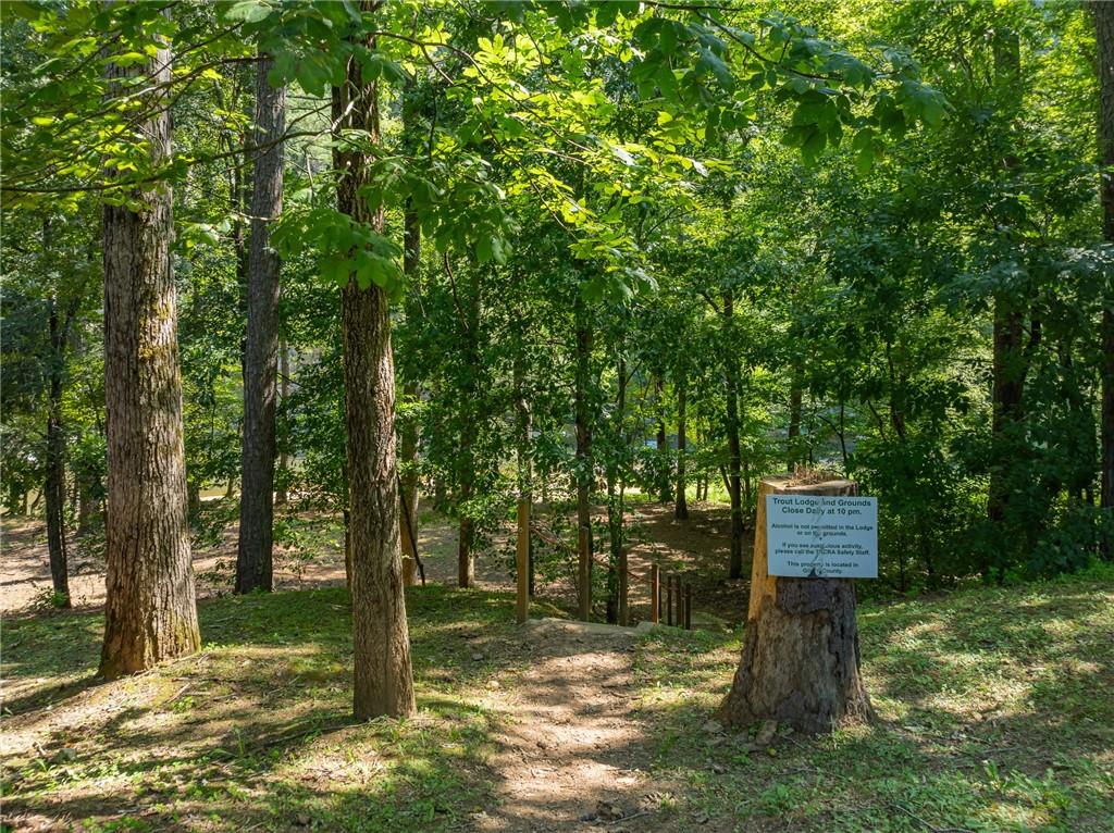 Marie Drive, Talking Rock, Georgia image 31