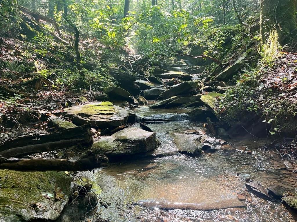 Marie Drive, Talking Rock, Georgia image 1