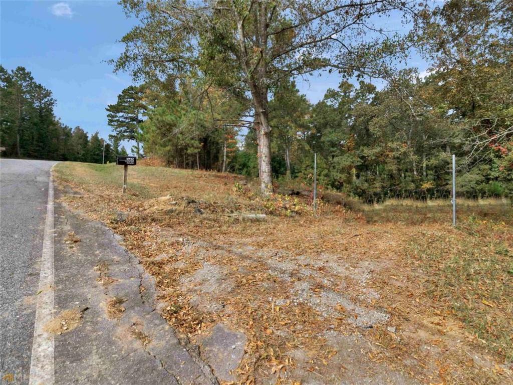 344 Valley Hill Road, Griffin, Georgia image 5