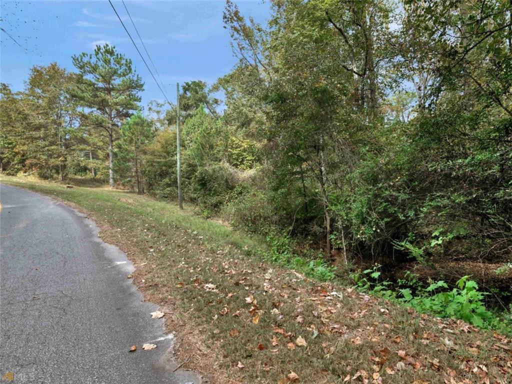 344 Valley Hill Road, Griffin, Georgia image 2