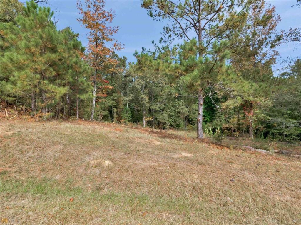 344 Valley Hill Road, Griffin, Georgia image 4