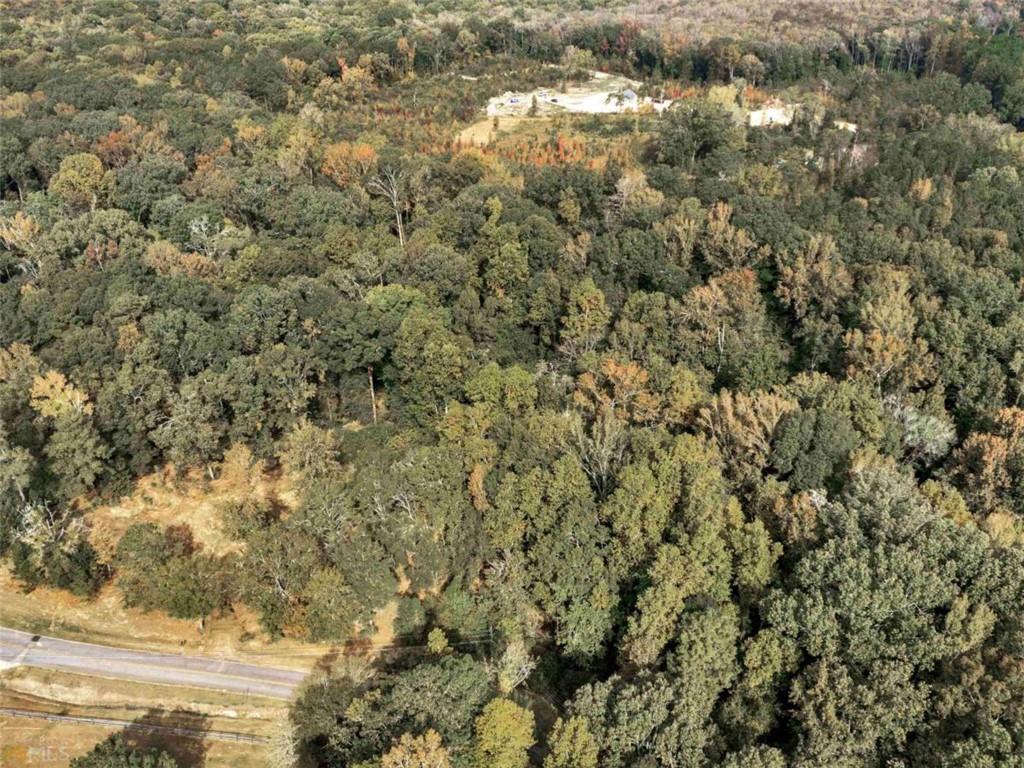 344 Valley Hill Road, Griffin, Georgia image 11