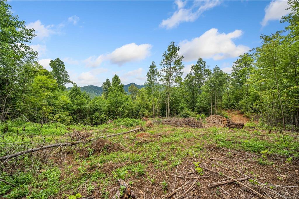 4.77 Acres Tom Wheeler Road, Hiawassee, Georgia image 5