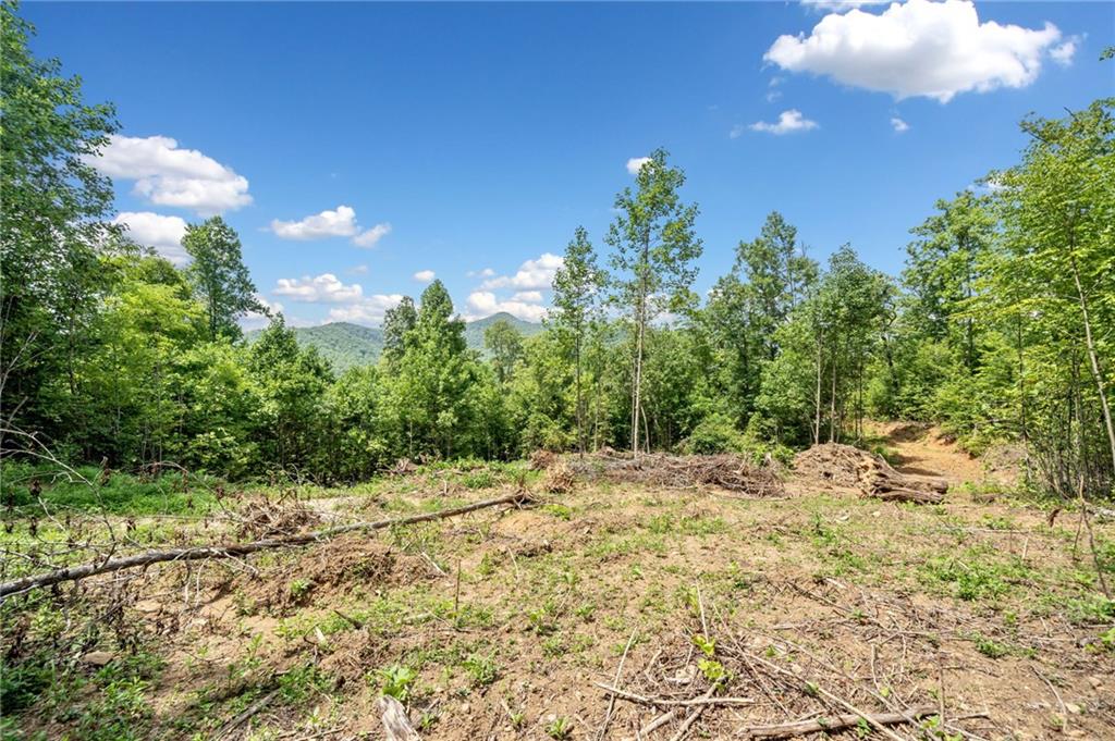 4.77 Acres Tom Wheeler Road, Hiawassee, Georgia image 4