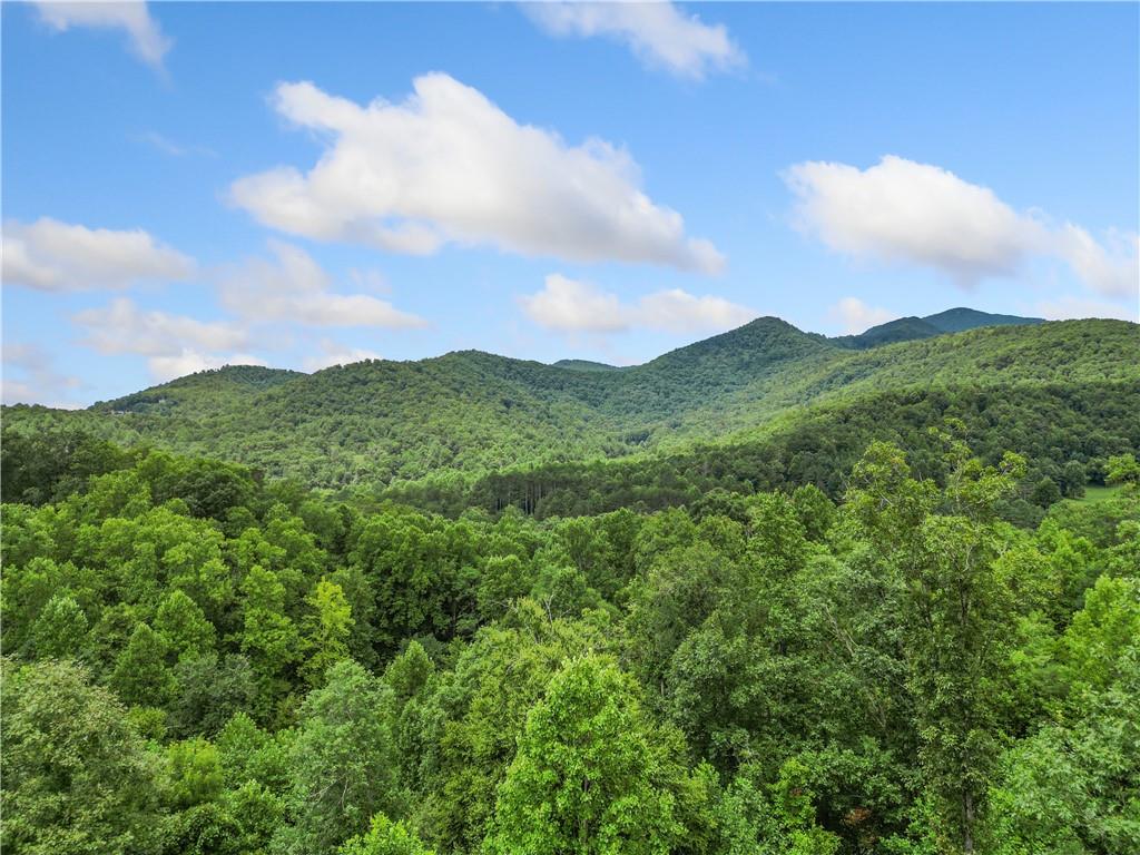 4.77 Acres Tom Wheeler Road, Hiawassee, Georgia image 8
