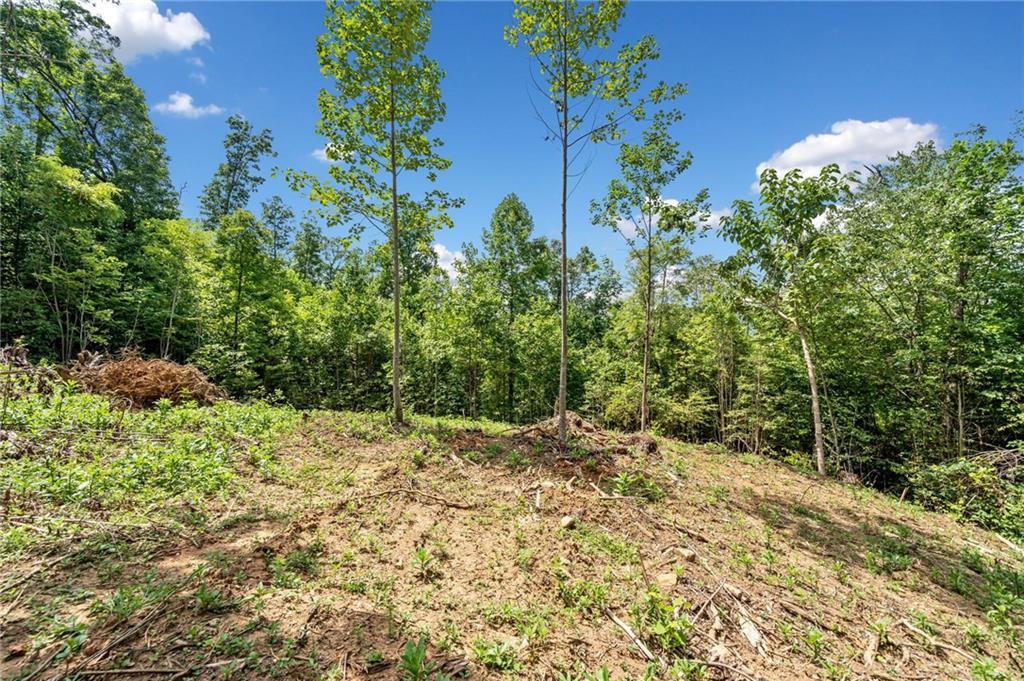 4.77 Acres Tom Wheeler Road, Hiawassee, Georgia image 7