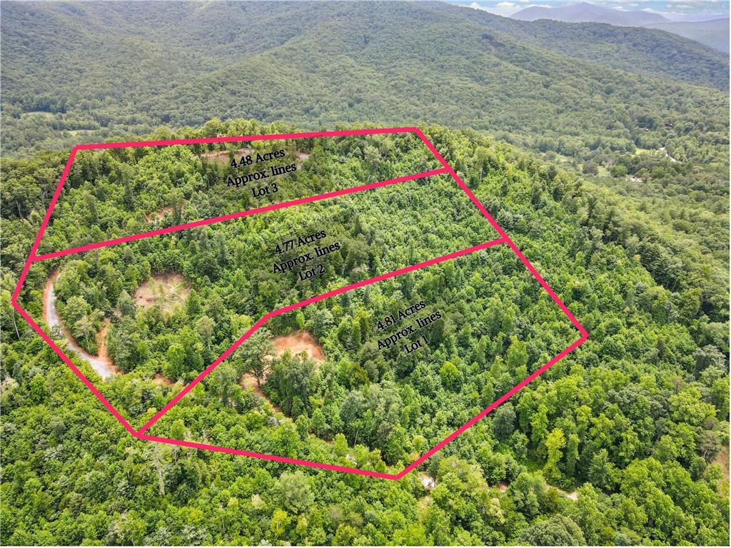 4.77 Acres Tom Wheeler Road, Hiawassee, Georgia image 2