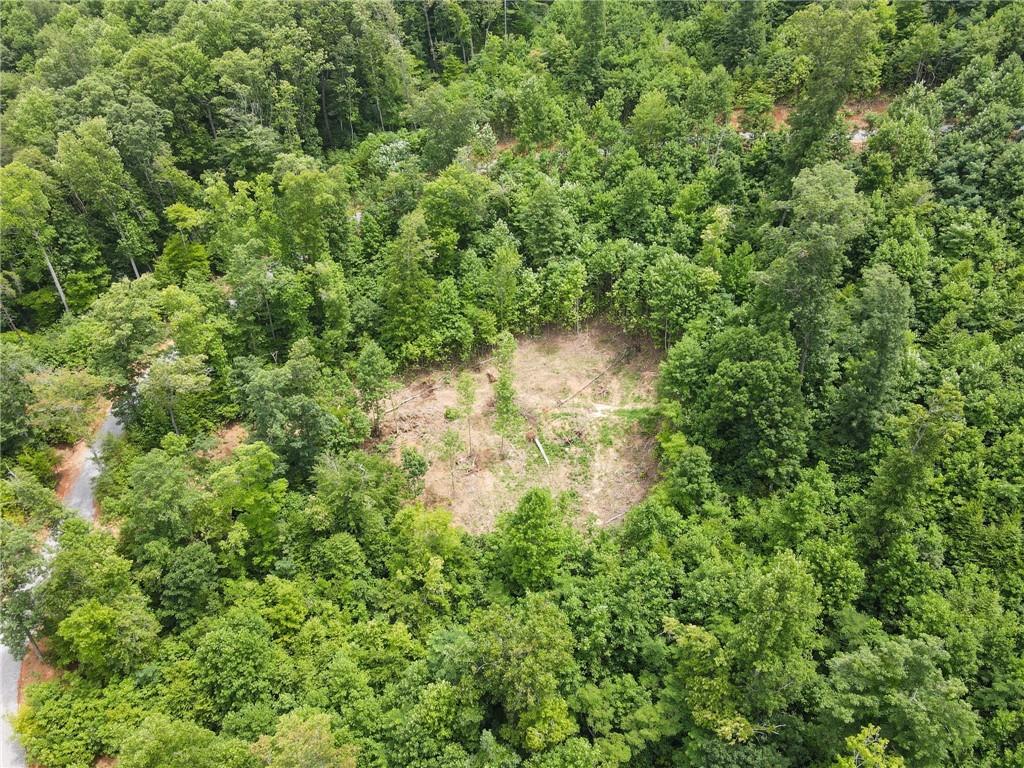 4.77 Acres Tom Wheeler Road, Hiawassee, Georgia image 10