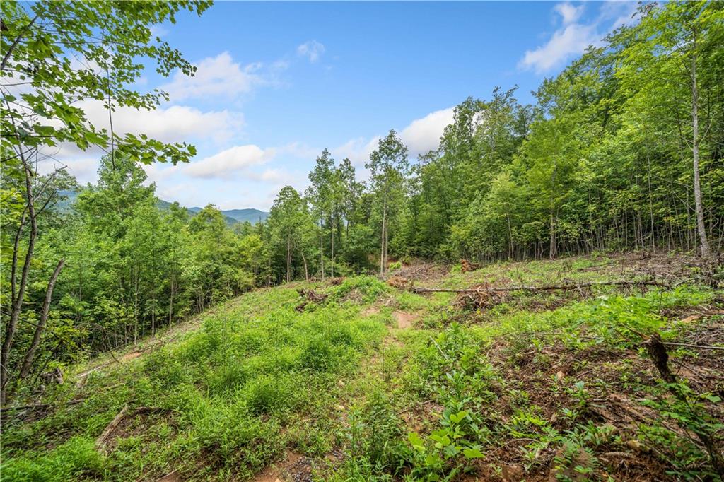 4.77 Acres Tom Wheeler Road, Hiawassee, Georgia image 6
