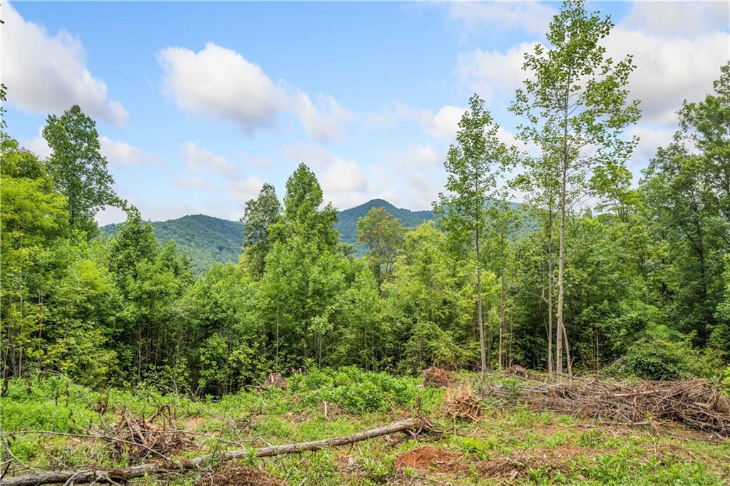4.77 Acres Tom Wheeler Road, Hiawassee, Georgia image 3