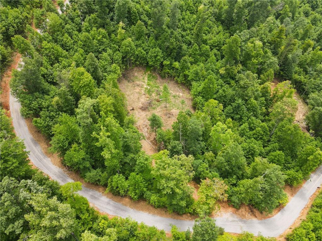 4.77 Acres Tom Wheeler Road, Hiawassee, Georgia image 9