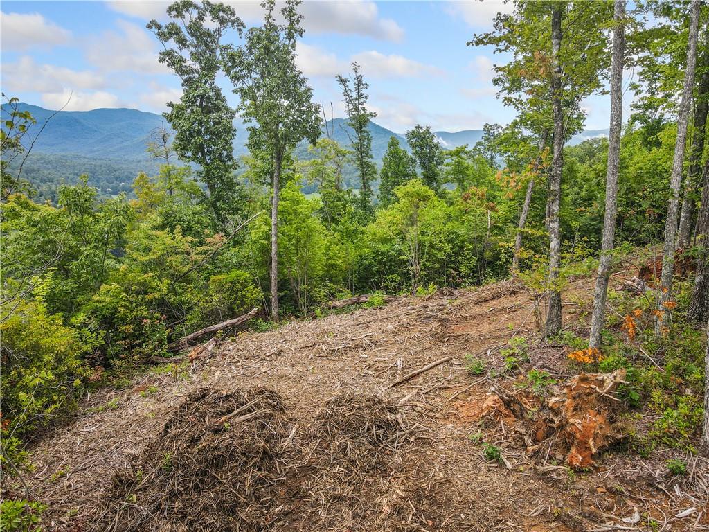 4.77 Acres Tom Wheeler Road, Hiawassee, Georgia image 1