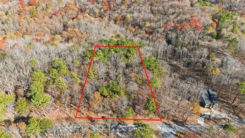 Vacant Land For Sale - 1166 Hunter Drive<br/> Ranger, GA 30734