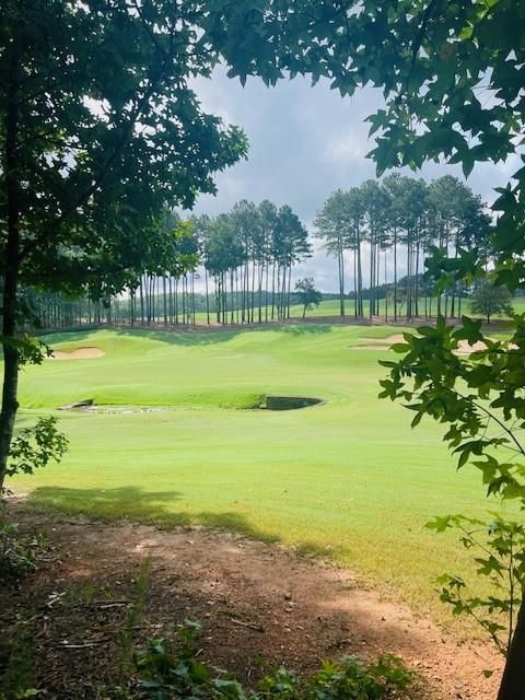 Vacant Land For Sale - 120 Hawks Court<br/> Ball Ground, GA 30107