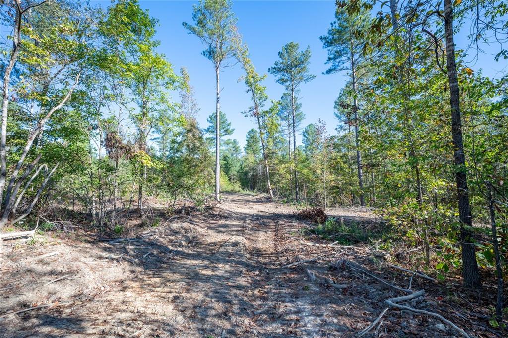 3863 HWY 140 NE