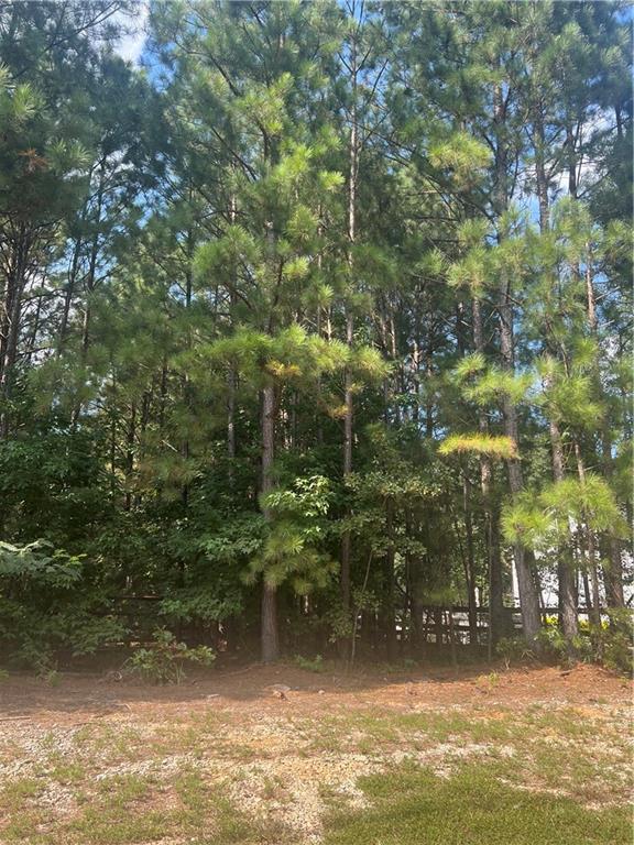 Fantastic opportunity to custom-build your dream home. Bring your plans and your vision. Seller does not have a soil test or plat.
Priced below appraised value.