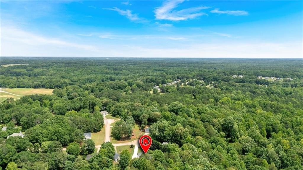 1385 Morrow Drive, Bethlehem, Georgia image 45