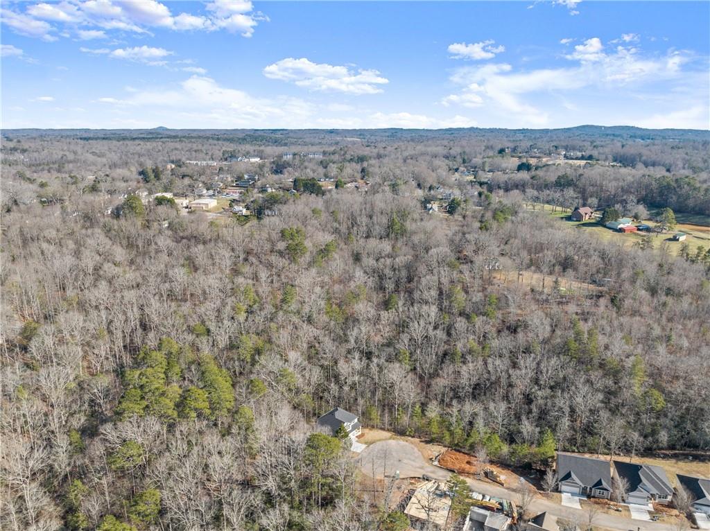 545 Wauka Drive, Demorest, Georgia image 18