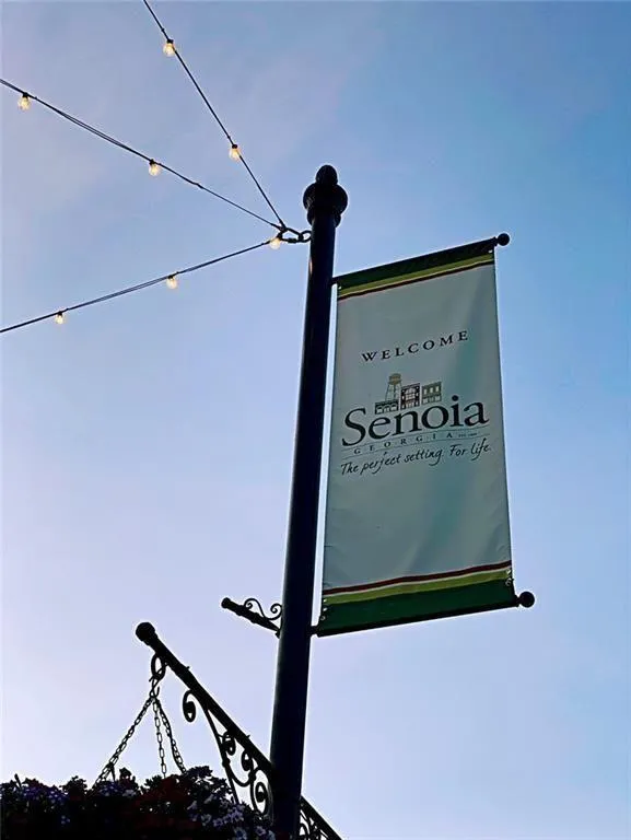 Senoia, Georgia 30276, United States, 3 Bedrooms Bedrooms, ,3 BathroomsBathrooms,Residential,Active,86447