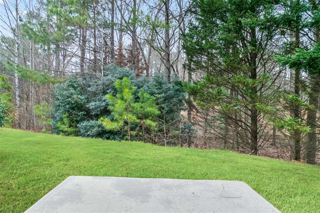 184 Darbys Crossing Court, Hiram, Georgia image 22