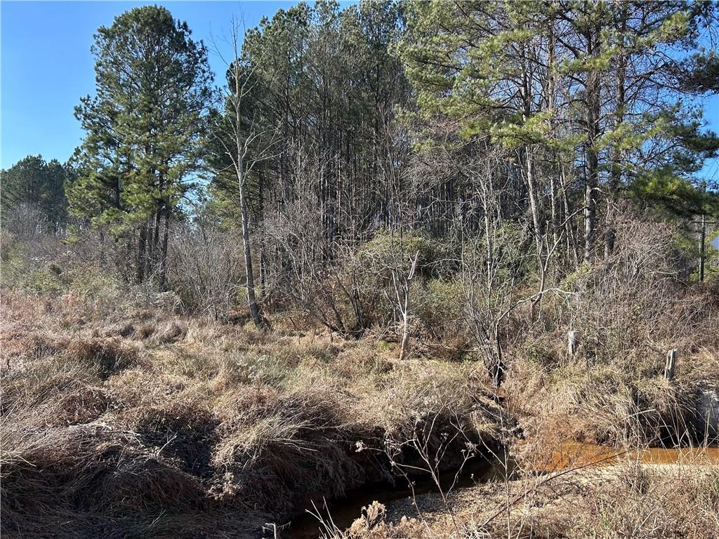 Cedar Mountain Road, Douglasville, Georgia image 9