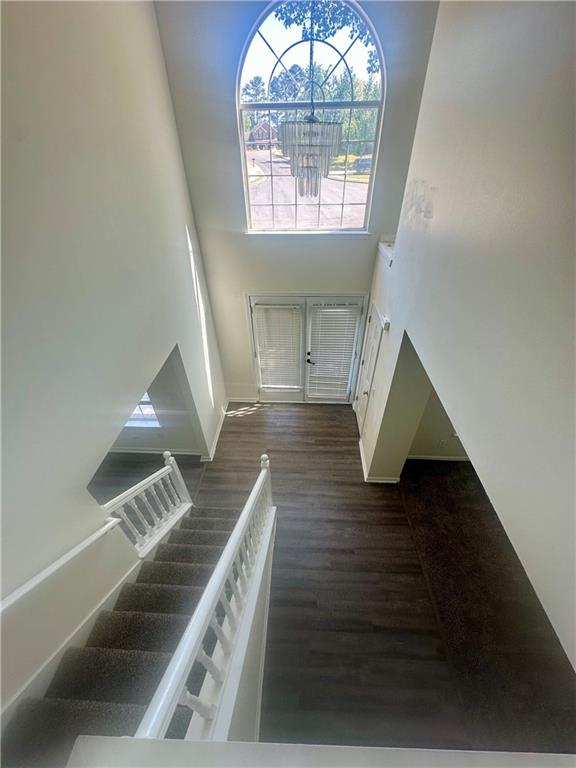 3635 Spring Mesa Drive