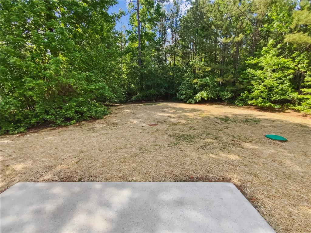 145 Shadowbrook Trace, Covington, Georgia image 15
