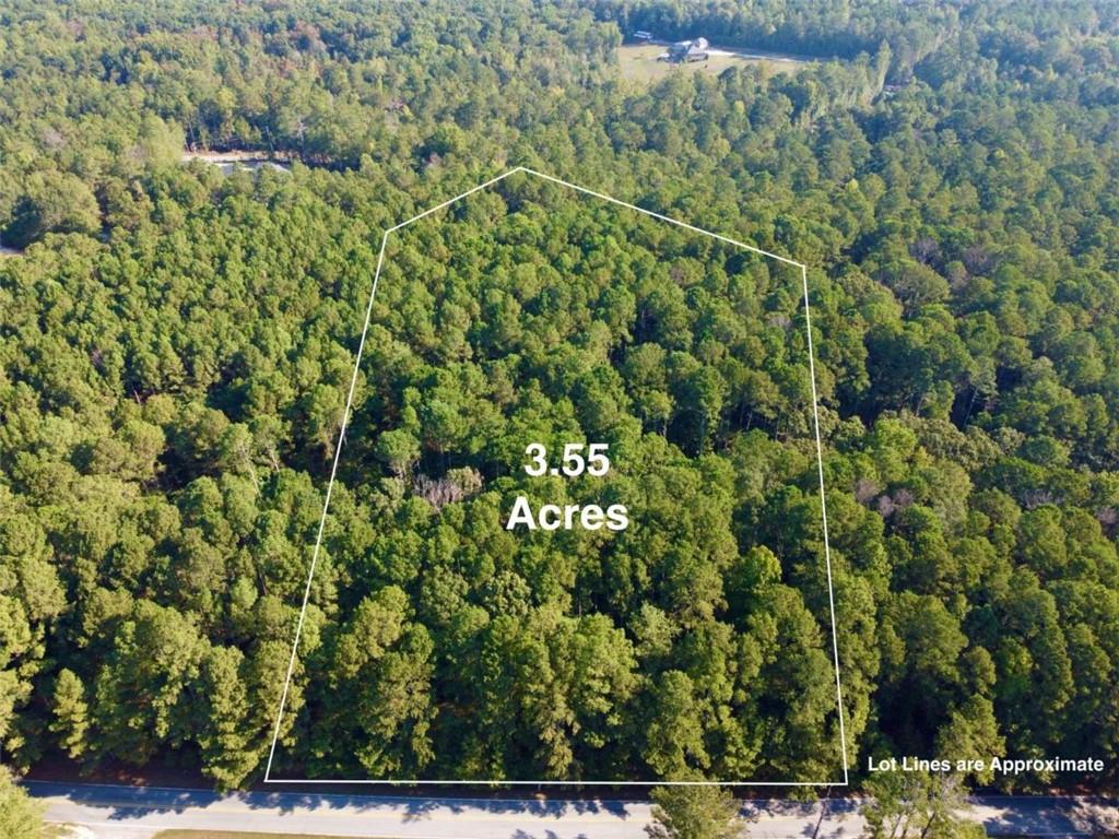 Have that perfect home in mind? Now we have the perfect spot! This 3.55 Acre is centrally located, which makes it an easy commute anywhere in Conyers, Snellville, or Loganville! Location is just 1 mile from reservoir with fully stocked fishing and boating! Plat available! We would love to introduce you to one of our tried and true builders or bring your own! Plenty of road frontage gives you options, and you're going to love how quiet and private it is! Agricultural use available if you would like to have some animals, or carve out a spot to start that vegetable garden! Best of all, NO HOA! Call us today before it gets snatched up!