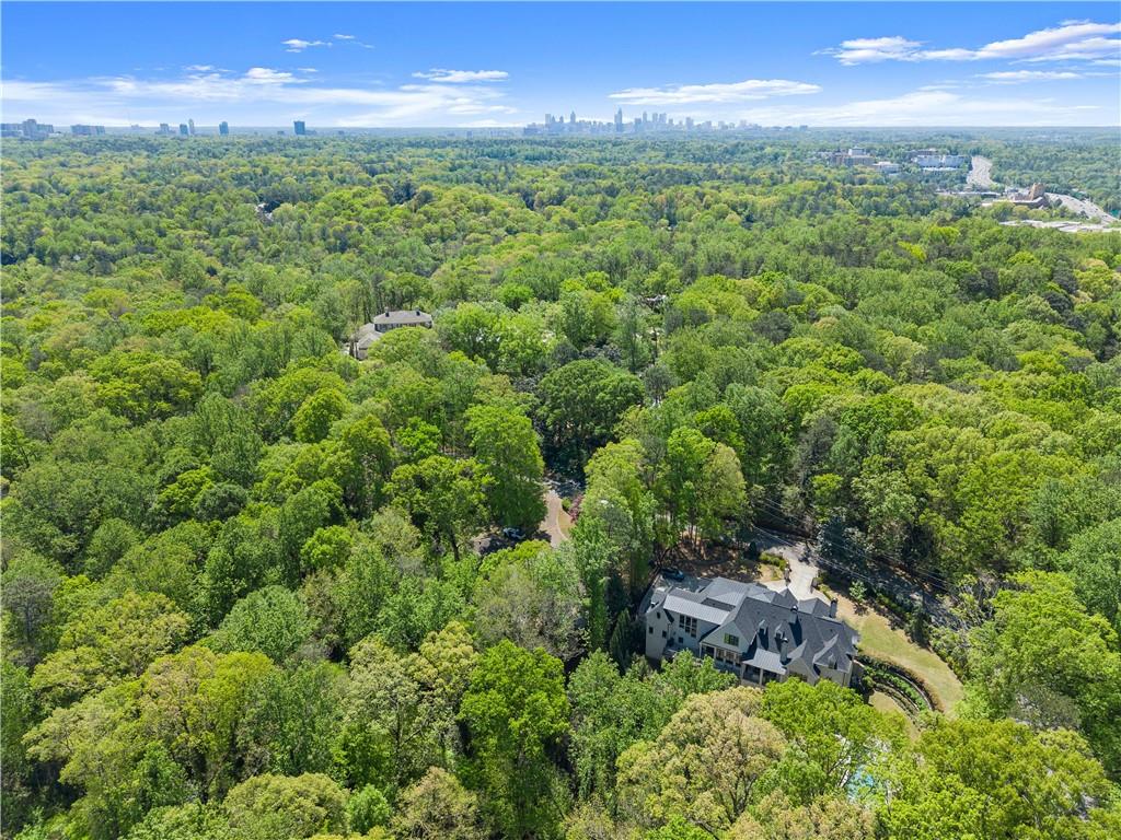 3985 Randall Mill Road, Atlanta, Georgia image 14