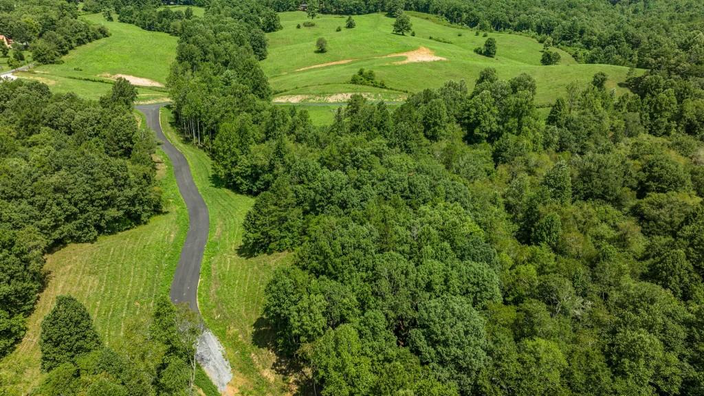 Lot 15 Waterstone, Mineral Bluff, Georgia image 9