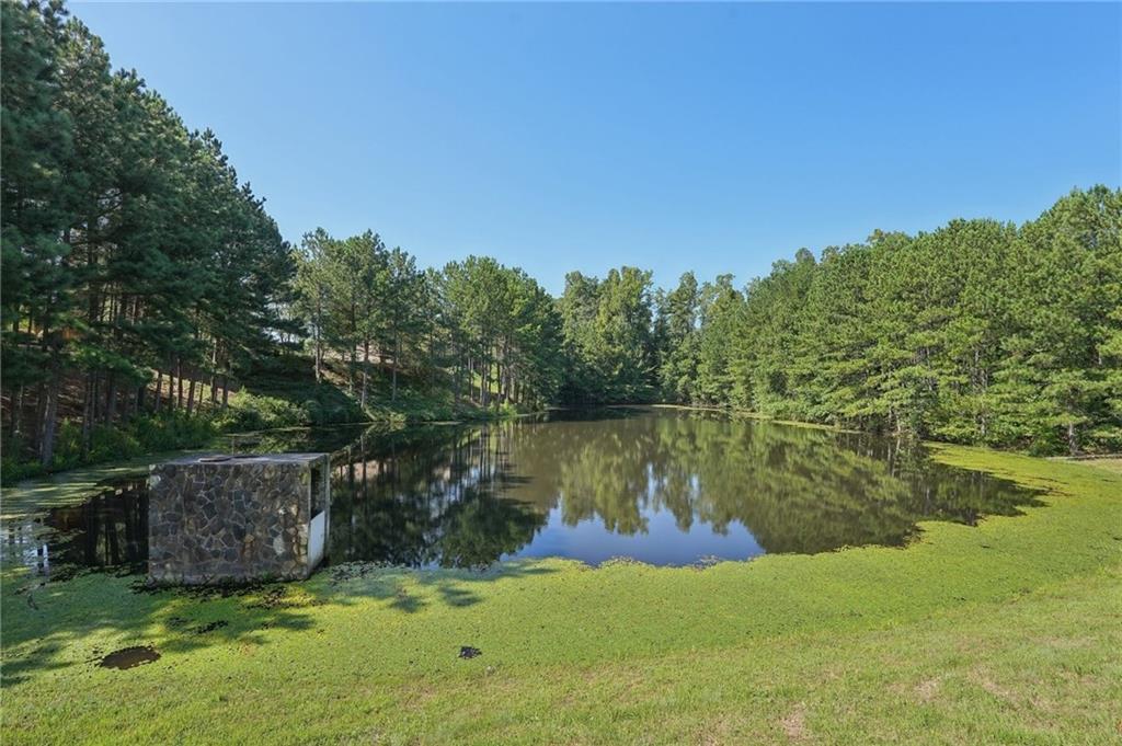 4430 Cedar Bridge Walk, Suwanee, Georgia image 19