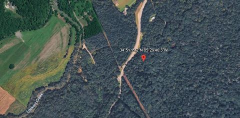 Vacant Land For Sale - State Rte 136<br/> Dade County, Rising Fawn, GA 30738