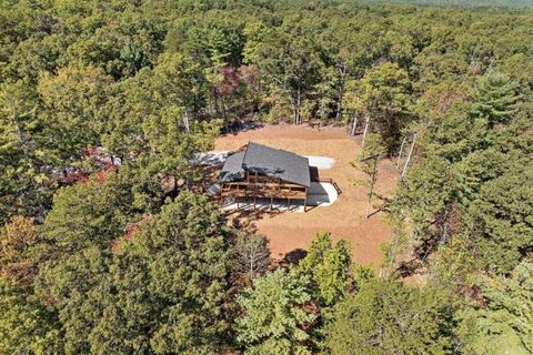 A home in Mineral Bluff