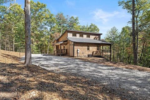 A home in Mineral Bluff