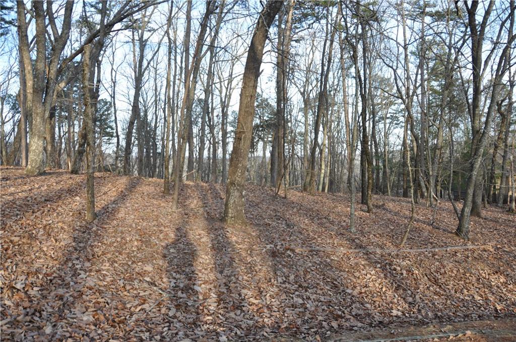 9137 Shetland Trace, Big Canoe, Georgia image 4