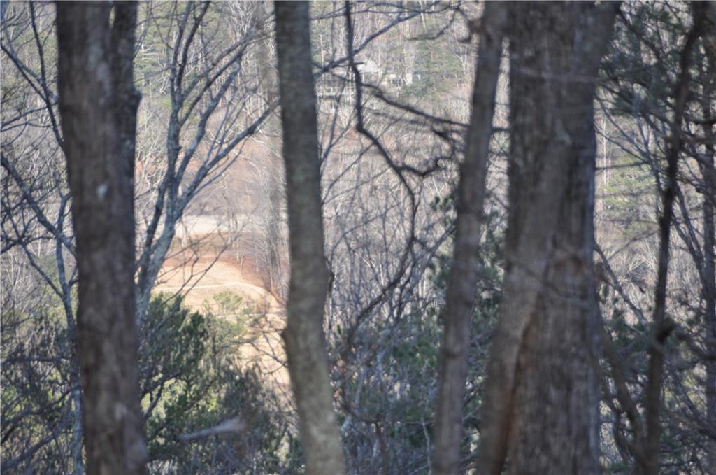 9137 Shetland Trace, Big Canoe, Georgia image 5