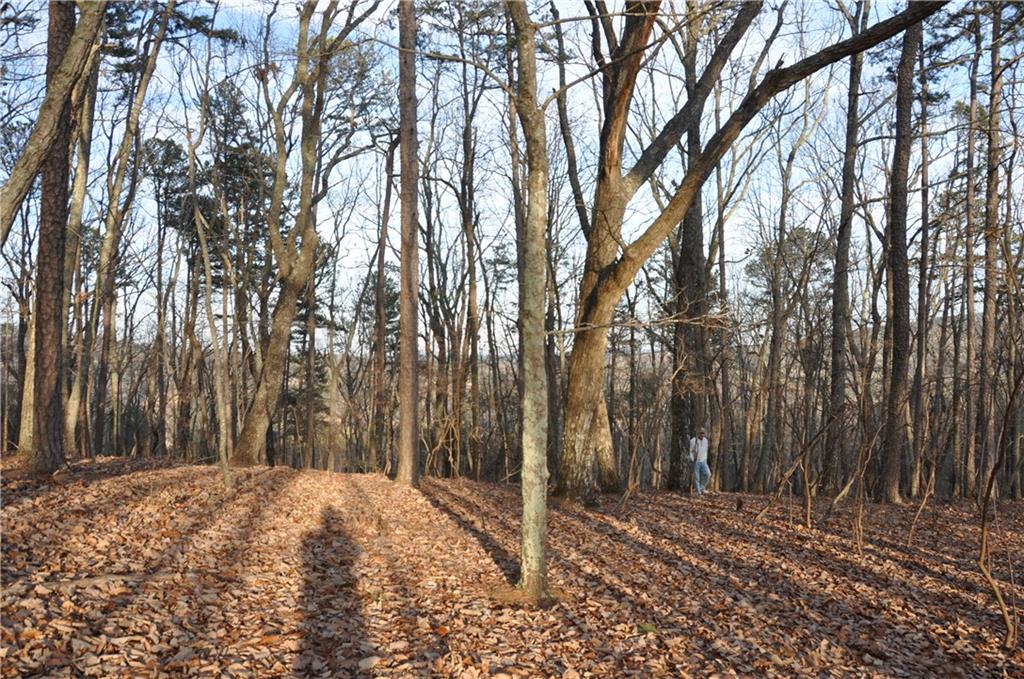 9137 Shetland Trace, Big Canoe, Georgia image 13